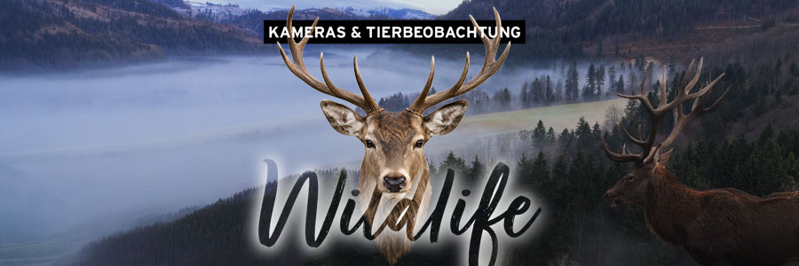 wildkameras_undso_09_26 Cashback